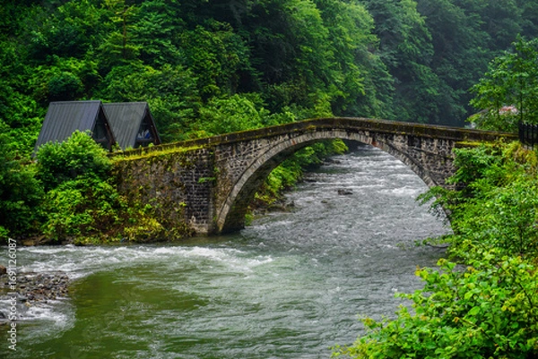 Obraz Stuning forest and river views of Karadeniz Black Sea region of Northern Turkey Camlihemsin Cat Village in Rize Turkey