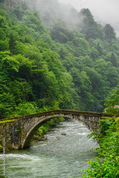 Obraz Stuning forest and river views of Karadeniz Black Sea region of Northern Turkey Camlihemsin Cat Village in Rize Turkey