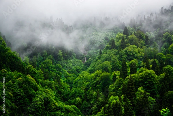 Obraz Stuning forest and river views of Karadeniz Black Sea region of Northern Turkey Camlihemsin Cat Village in Rize Turkey