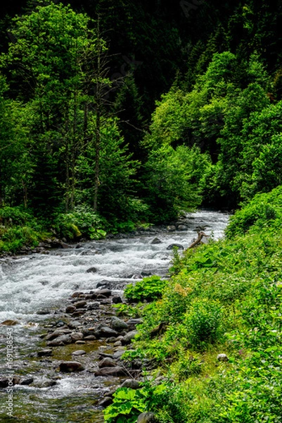 Obraz Stuning forest and river views of Karadeniz Black Sea region of Northern Turkey Camlihemsin Cat Village in Rize Turkey
