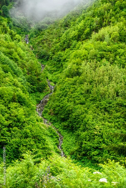 Obraz Stuning forest and river views of Karadeniz Black Sea region of Northern Turkey Camlihemsin Cat Village in Rize Turkey