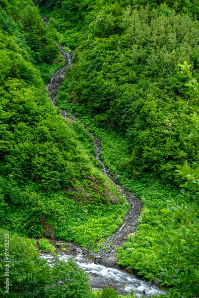 Obraz Stuning forest and river views of Karadeniz Black Sea region of Northern Turkey Camlihemsin Cat Village in Rize Turkey