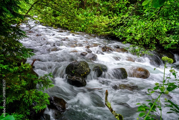 Obraz Stuning forest and river views of Karadeniz Black Sea region of Northern Turkey Camlihemsin Cat Village in Rize Turkey