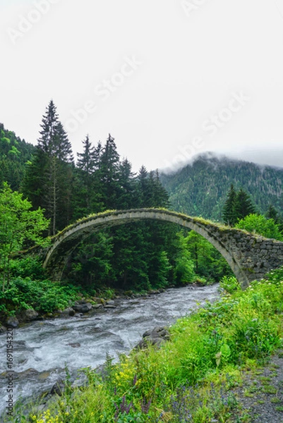 Obraz Stuning forest and river views of Karadeniz Black Sea region of Northern Turkey Camlihemsin Cat Village in Rize Turkey