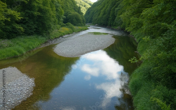 Obraz Serene river winding through lush green forest with cloudy sky reflection