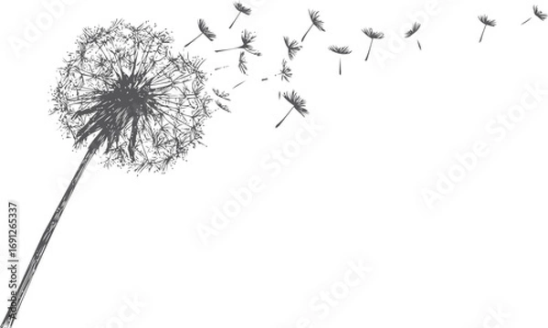 Fototapeta Dandelion vector sketch hand drawn line art in nature, dandelion seeds blowing in wind — stock vector