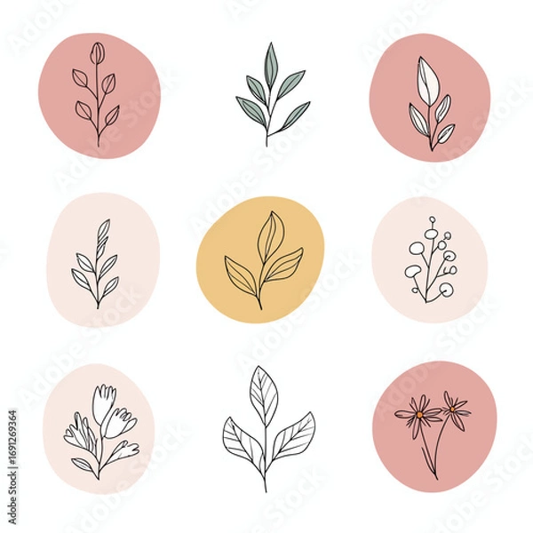Fototapeta Minimalist hand drawn botanical line art icons set with floral leaves branches flower sketches on pastel color backgrounds for logo design or social media highlights collection vector illustration