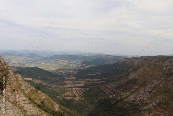 Fototapeta Buitre leonado sobrevolando un acantilado