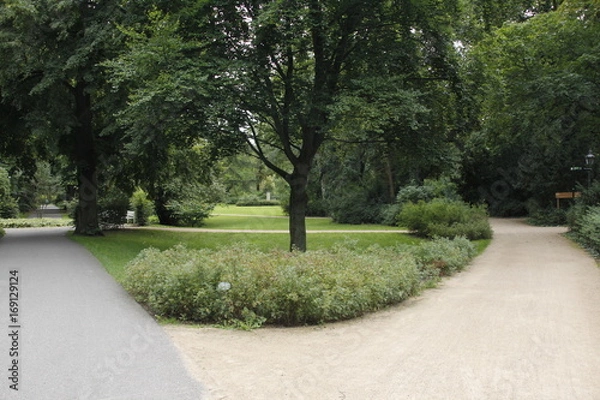 Obraz Parklandschaft