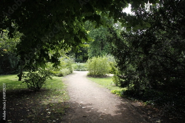 Fototapeta Parklandschaft