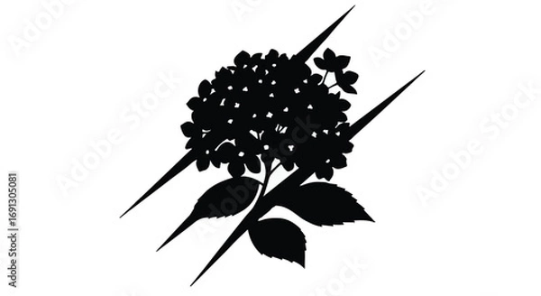 Fototapeta Elegant black silhouette of a blooming hydrangea flower with sharp, angular lines