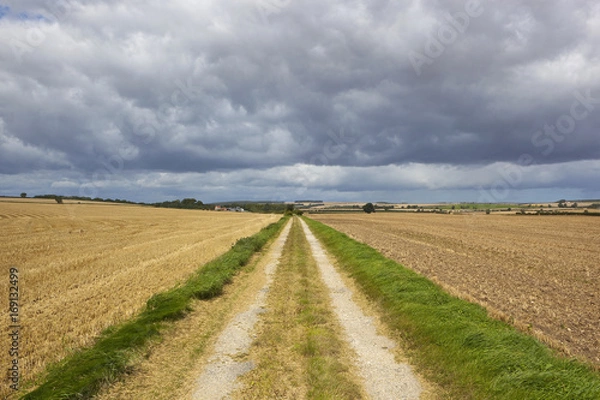 Fototapeta scenic farm track