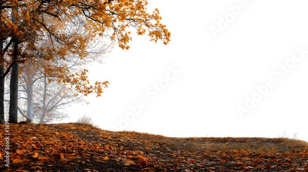 Fototapeta golden autumn foliage with serene atmosphere  isolated on white background