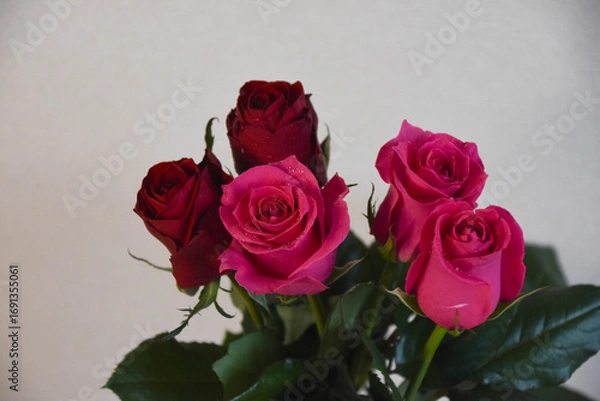 Fototapeta 赤とピンクのばら