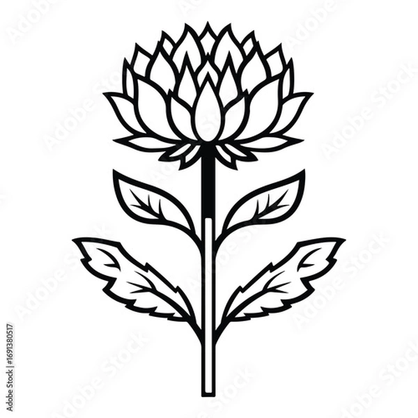 Fototapeta vector illustration of a burdock flower