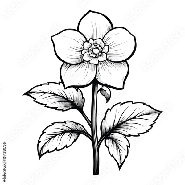 Fototapeta vector illustration of a flower