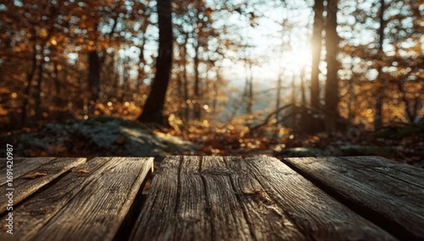 Fototapeta Autumn forest scene with wooden table