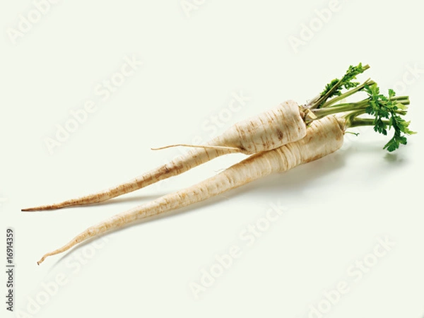 Obraz parsley root  (Petersilienwurzel)
