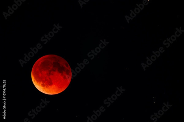 Fototapeta Lunar Eclipse on Sunday 7 September, 2025. Shot with an 800mm lens from Mtarfa in Malta.