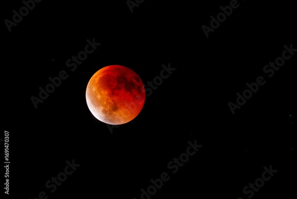 Fototapeta Lunar Eclipse on Sunday 7 September, 2025. Shot with an 800mm lens from Mtarfa in Malta.