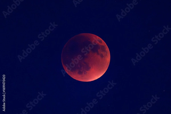Fototapeta Lunar Eclipse on Sunday 7 September, 2025. Shot with an 800mm lens from Mtarfa in Malta.