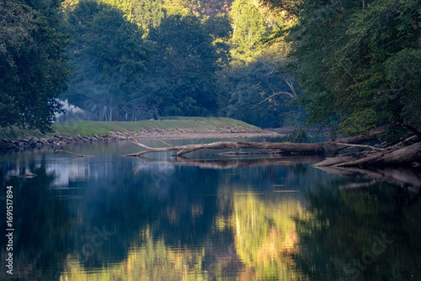 Fototapeta Tranquil River Scene with Reflections and Fallen Logs at Sutton Lake, West Virginia