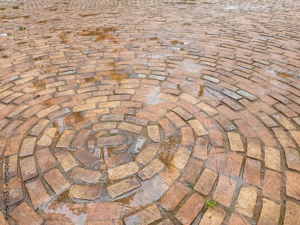 Fototapeta Wet Circular Brick Pavement Pattern After Rain