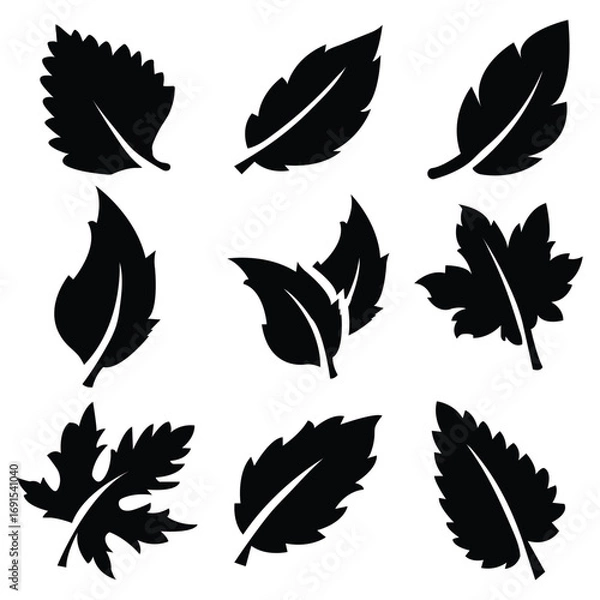 Fototapeta Green leaf icons set. Fill Leaves icon isolated background. Collection of green leaf. Leaf sprout icon vector set, green leaves plant eco logo symbol simple graphic illustration set. eps 10