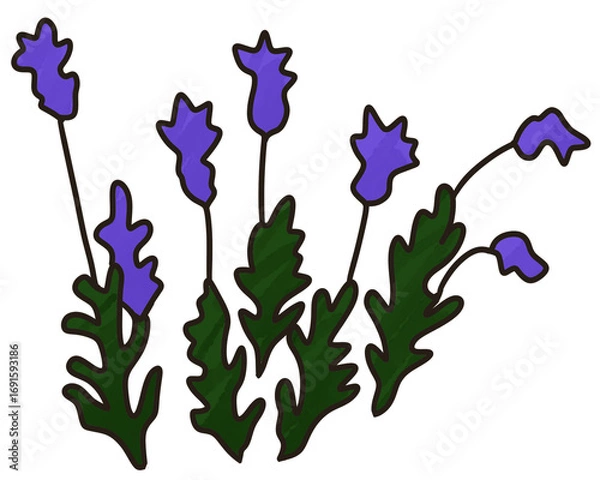 Obraz 제목 없는 아트워크