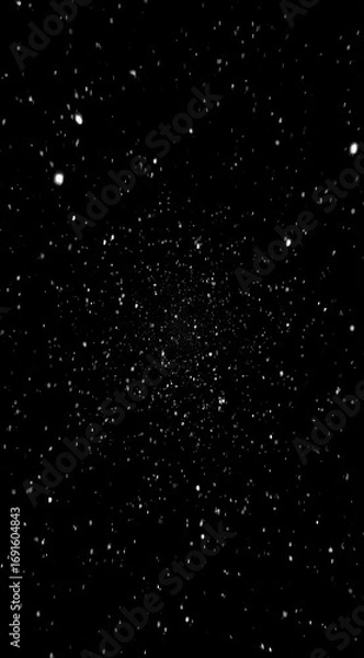 Fototapeta A night sky filled with many twinkling stars scattered across a deep black background. A bright, central cluster exists amid the field of starlight