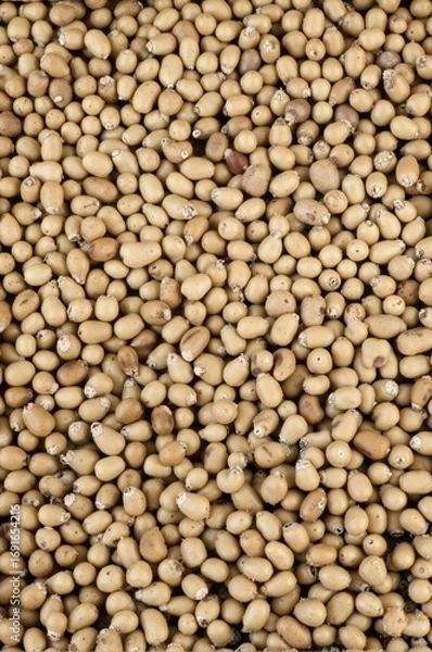 Fototapeta Soybeans texture pattern background