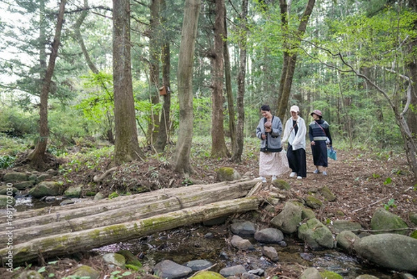 Fototapeta A group of people are walking through a forest, with a large log in the middle of the path. Scene is peaceful and serene, as the group of people seem to be enjoying their time in nature