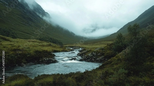 Obraz Misty mountain valley stream
