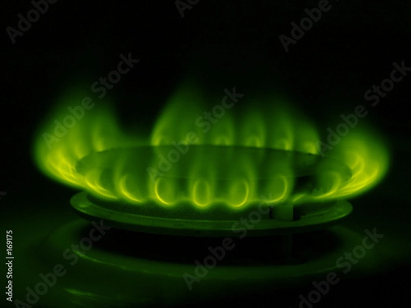 Fototapeta flammes vertes