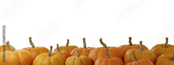 Fototapeta Row of orange pumpkins on a transparent background for seasonal decoration.
