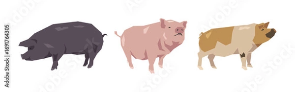 Obraz Set of pig in geometric shape. Flat vector illustration.