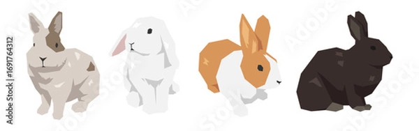 Obraz Set of rabbit in geometric shape. Flat vector illustration.