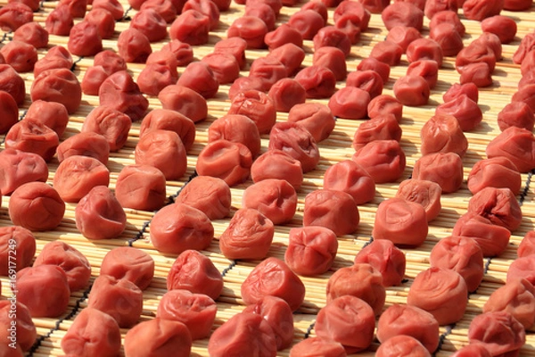 Obraz Robienie Umeboshi, suszone słońce