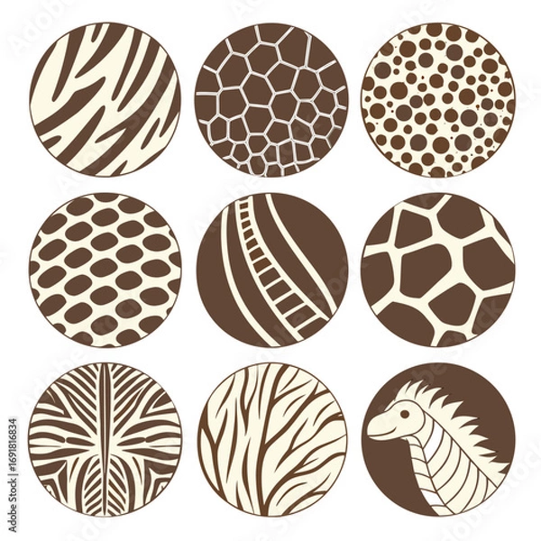 Fototapeta set of abstract vector spheres