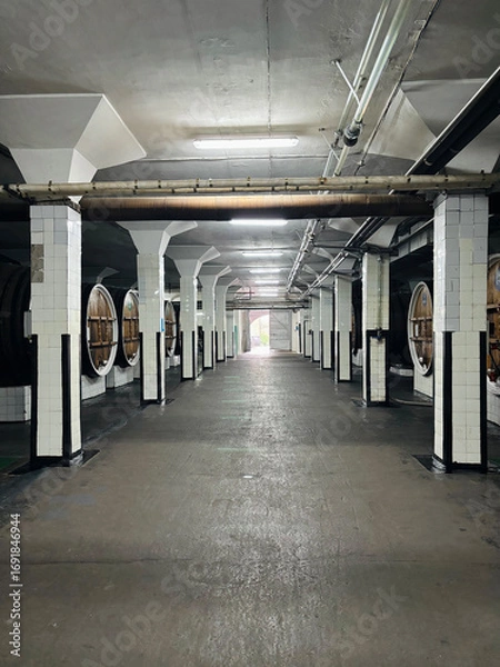 Fototapeta Wine barrels in wine-vaults in order.