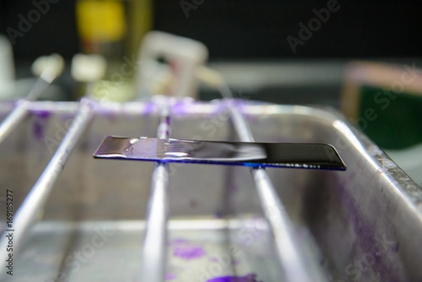 Fototapeta Close-up detail of a glass slide with sputum sample being stained with crystal violet, a chemical used in Gram stain.