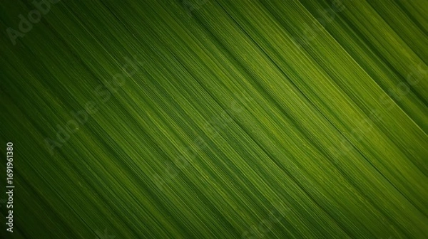 Fototapeta Macro Photograph of Vibrant Green Leaf Texture with Intricate Veins and Natural Foliage Pattern for Botanical Studies and Environmental Awareness Beautiful background