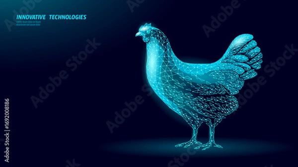 Obraz Chicken wireframe concept. Polygonal hen poultry bird livestock farm. Agriculture food technology veterinary science. Low poly digital dark blue vector.