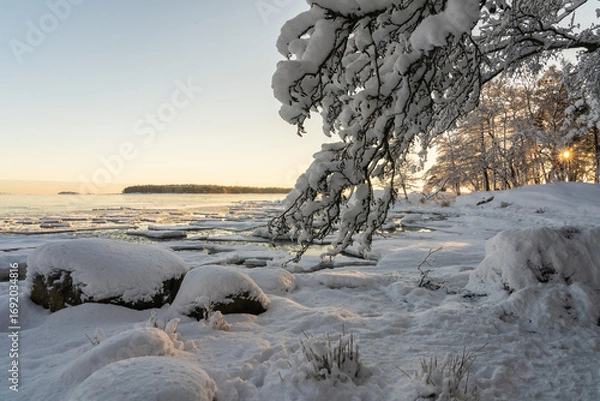 Fototapeta Winter sunset