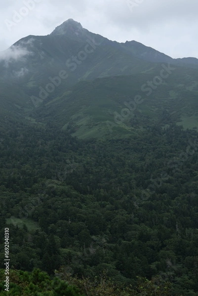 Fototapeta 利尻岳