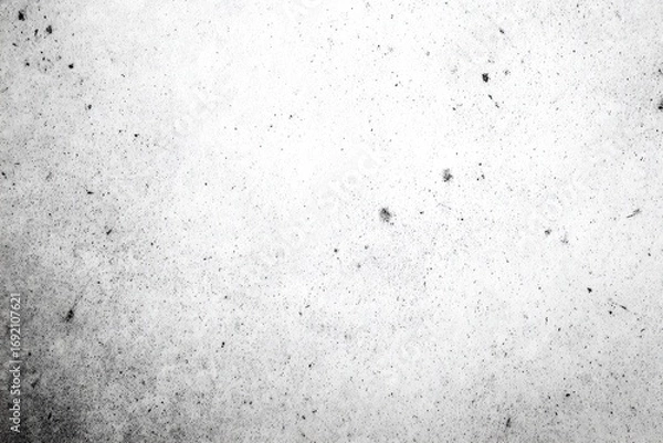 Obraz Grainy, textured, light gray surface