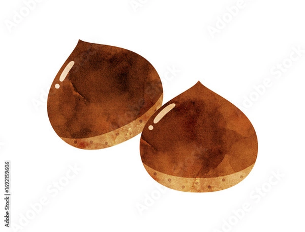 Obraz 栗のイラスト　水彩風加工バージョン