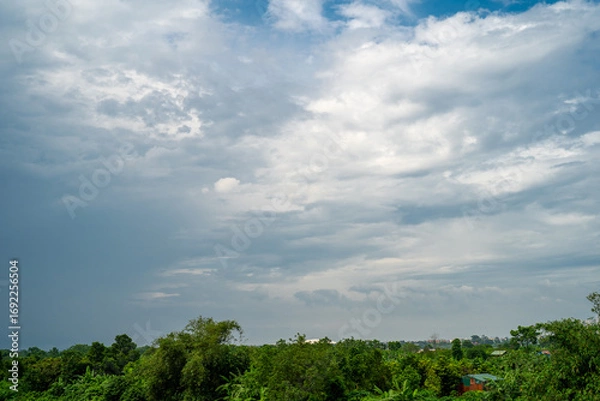 Fototapeta A serene landscape with lush greenery and overcast skies.
