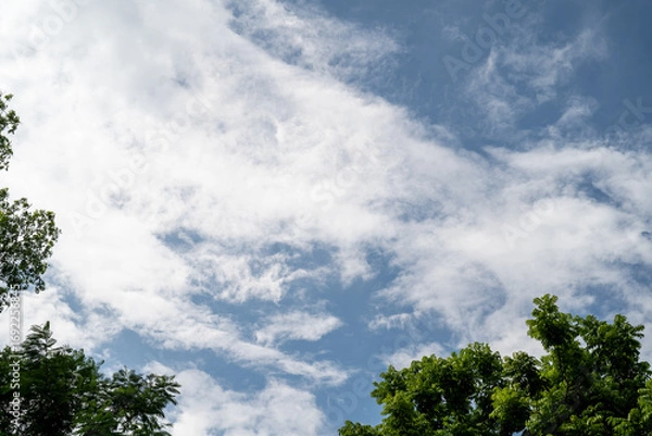 Fototapeta Serene blue sky with fluffy clouds and lush green trees framing the scene.