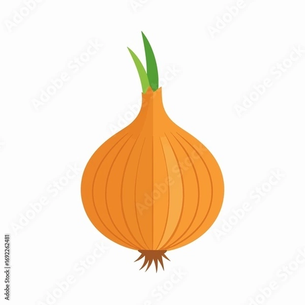 Obraz Vibrant golden onion with fresh green sprouts illustration.